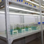 FRIN Bio-Technological Facilities